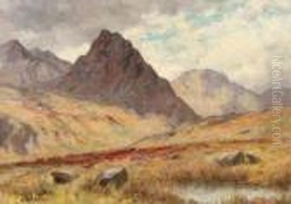 Untitled - view 1