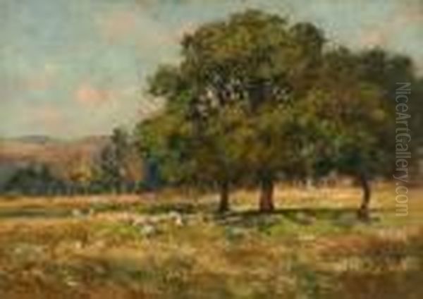 The Meadow, Tal-y-bont, Conway - view 1