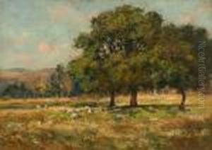 The Meadow, Tal-y-bont, Conway by Josiah Clinton Jones
