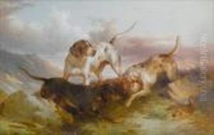 Pointers Stalking A Grouse