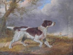 Study Of A Sundog Study Of A Sundog