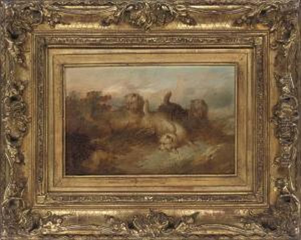 Chasing A Rabbit; And A Narrow Escape - view 1