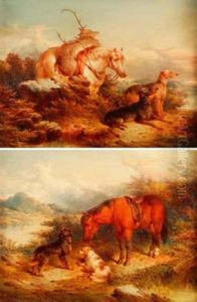 Dogs In Highland Landscapes - view 1