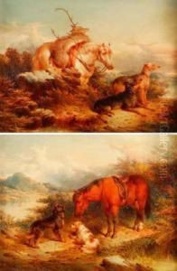 Dogs In Highland Landscapes by Paul Jones