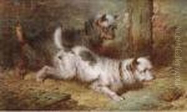 Terriers Ratting - view 1