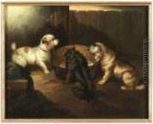 Terriers by Paul Jones