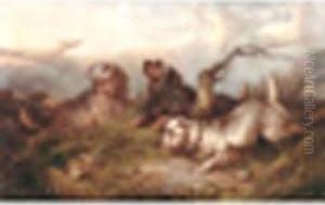 Anonimo