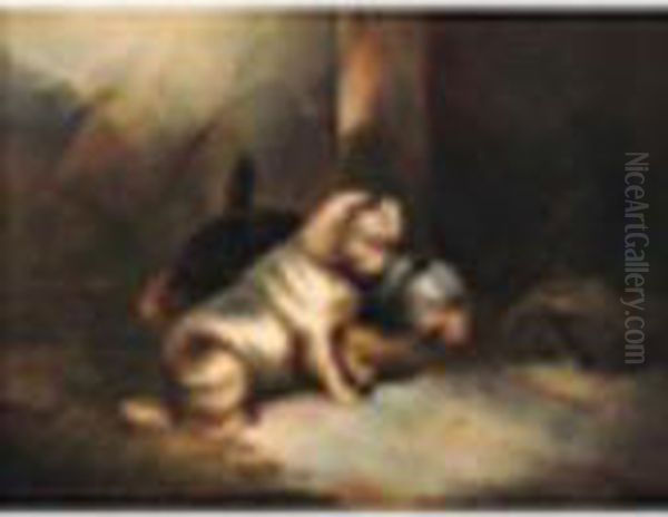 Terriers Ratting - view 1