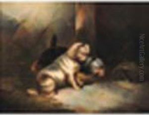 Terriers Ratting by Paul Jones