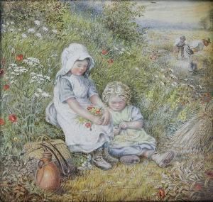 Wild Flowers