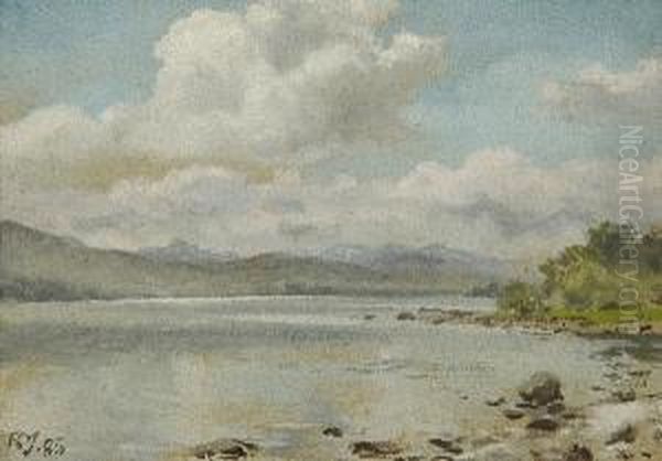 Sunshine On Loch Rannock - view 1