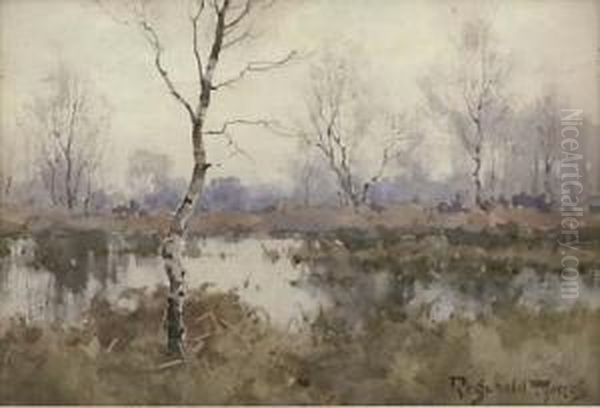Silver Birches In A Marsh Landscape - view 1