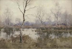 Silver Birches In A Marsh Landscape