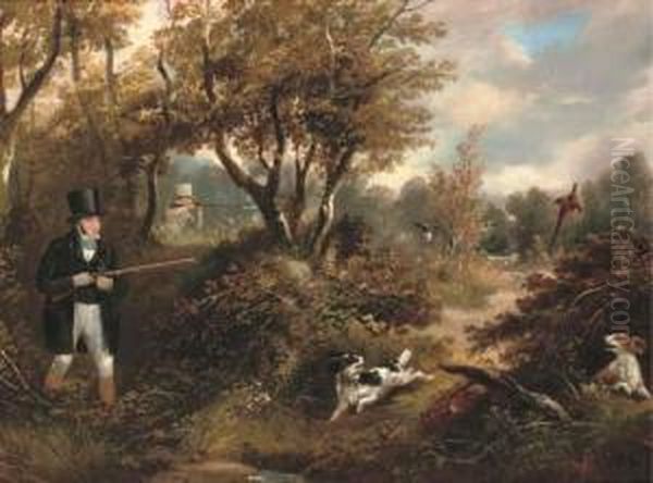 Pheasant Shooting In A Wooded Landscape - view 1