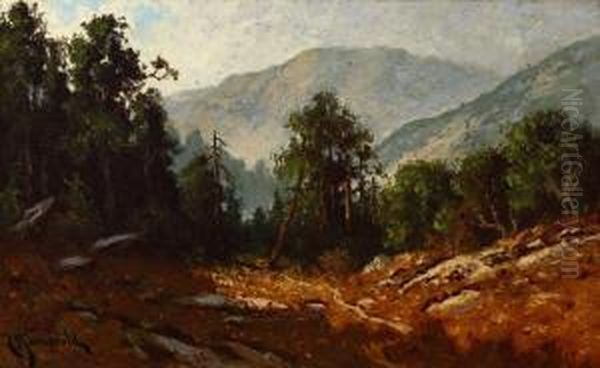 In Mendocini (sic) Co, Calif - view 1