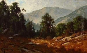 In Mendocini (sic) Co, Calif by Carl Henrik Jonnevold