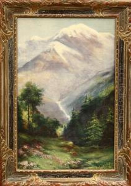 View Of A Mountain - view 1