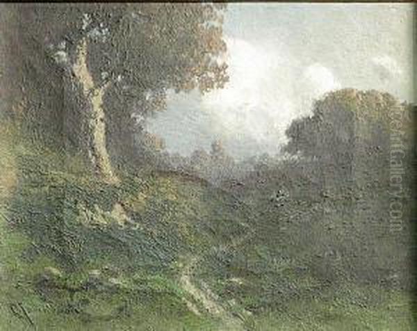 A Wooded Path - view 1