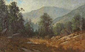 Mendocino County Mountain Landscape by Carl Henrik Jonnevold
