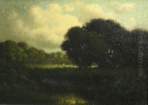 A Forest Clearing - view 1