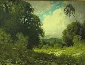 A Sunlit Clearing With Passing Clouds