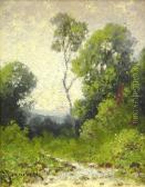 A Verdant Landscape - view 1