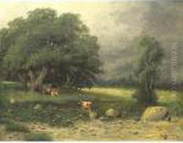 Cows Resting Under Sheltering Oaks - view 1