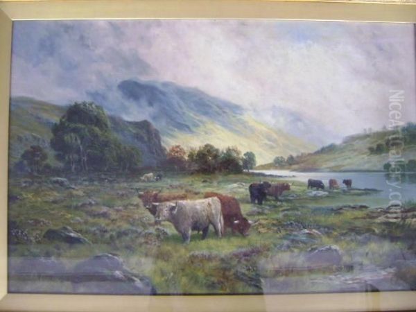 Extensive Highland Landscape - view 1