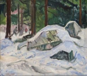 Skilopere by Lars Jorde