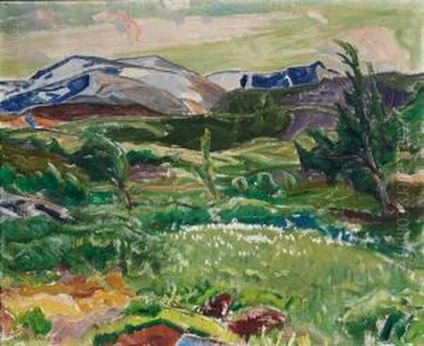 Fra Fjellet. Myrull 1919 - view 1