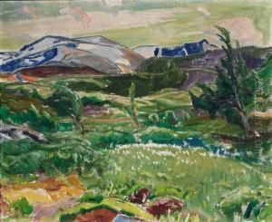 Fra Fjellet. Myrull 1919