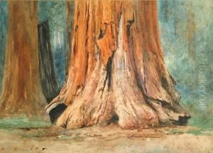 Redwoods by Christian A. Jorgensen