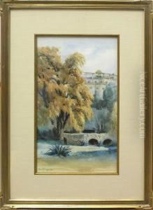 View From A Creek