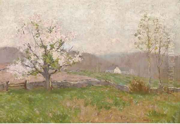 Spring blossoms - view 1