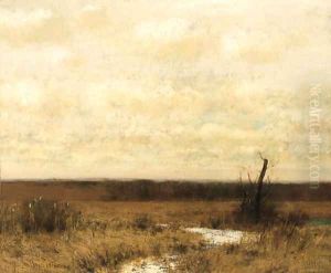 Meadow and Sky
