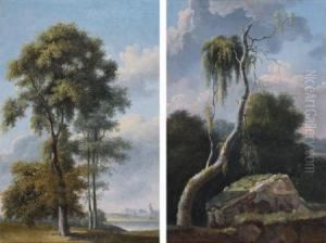 Etudes D'arbres Etudes D'arbres