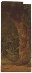Une Chene Dans Un Sous-bois by Simon-Joseph-Alexandre-Clement Denis