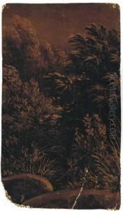 Un Sous-bois Pres De Rochers by Simon-Joseph-Alexandre-Clement Denis