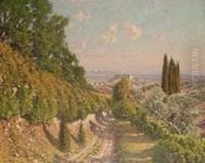 A Mediteranean Landscape