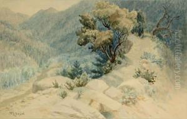 Mountain - view 1