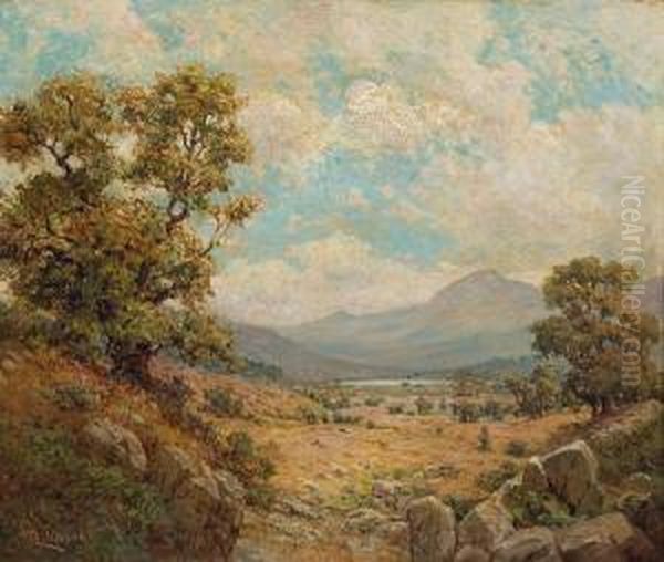 In Sierra Foothills - view 1