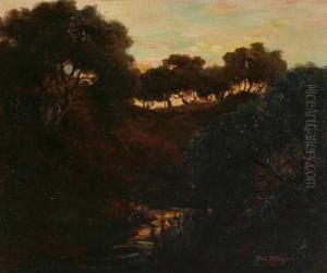 Oak Tree Landscape