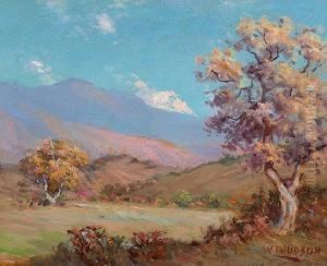 Fall Trees And Blue Mountains