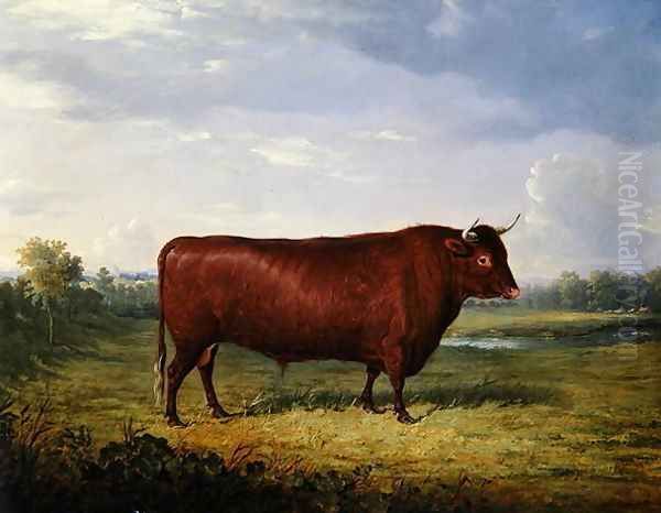 Portrait of a Brown Bull, 1834 - view 1