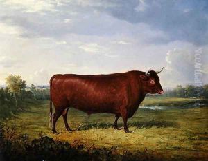 Portrait of a Brown Bull, 1834