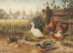 Hahn Mit Hennen Und Enten by Carl Jutz