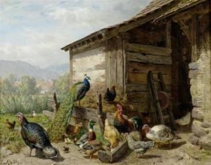 The Chicken Run by Carl Jutz