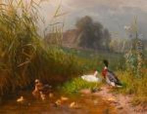 Family Of Ducks At A Stream. by Carl Jutz