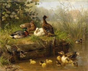 Enten Am Weiher. by Carl Jutz