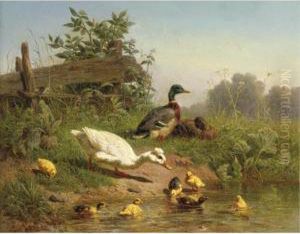A Cooling Bath by Carl Jutz